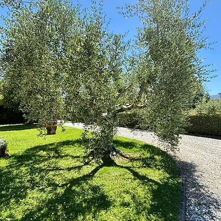 Prázdninový dům Casa Corte Degli Olivi 2 *